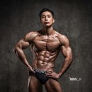 스타빌리 이미지