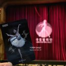 반송순환로217-1 | 국립발레단 백조의 호수 2026 예술의 전당 공연 후기 (스토리와 주요 장면, 굿즈, 할인 판매, 오페라...