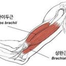 바라던PT 이미지