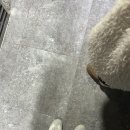 사랑해 엄마(주말) 이미지