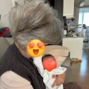 내돈내산 플로렌스케어 산후조리 후기(친정엄마찬스)