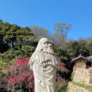 (전남 해남)달마산 미황사(達摩山 美黃寺) 답사 이미지