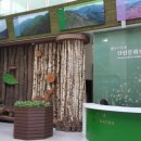 마비정길 이미지