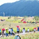 산소카폐 청송정원 (1) 이미지