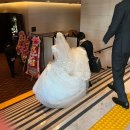 고원예식장 | [제주도]Wedding_본식