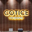 코티스 더 브릿지 이미지