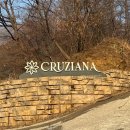 크루지아나 이미지