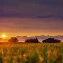 해뜨는집 이미지