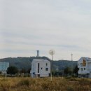 미단씨티3호 근린공원 건너편 | [내사랑 영종도] 칠면초 보러 찾아 나섰다가~뚜벅뚜벅...