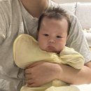 [브랜드별 아기 잠옷(스와들) 후기] 스칸디맘, 베베곰, 소소앙, 선데이허그, 이키, 매직슬립슈트