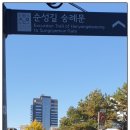 세종대로7길 | 서울 국보1호 ‘서울 숭례문’ 2025년 11월 14일