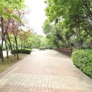 수지자이공인중개사사무소 이미지