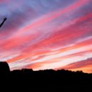 영남중학교 이미지