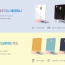 제주 주율 일간제주
