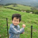 민재목장 이미지