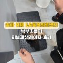 송파스마일동물병원 | 송파 위례 LA동물병원 검진 후기. 요크셔테리어 복부초음파 &amp; 피부재생레이저
