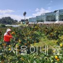 서율농장 이미지