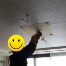 대현전기조명 이미지