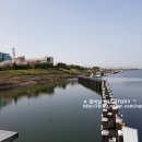 하단동1195 이미지