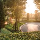 우드트랙 이미지