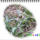당제산 - 1359 | 당제산