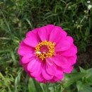 금강민박 이미지