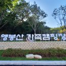 앵봉산 가족캠핑장 이미지