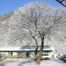 강변펜션밸리 이미지