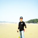 휠맨 Daum카페