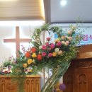 산정현교회 이미지