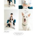 끌림 동물병원 이미지