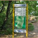 상학산 Daum카페