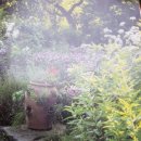 나의 정원 이미지