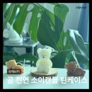 귀여운 인테리어오브제 유해브미 곰 소이캔들 향초캔들 후기