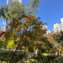 JB볼링 | [블챌💚]10월 다섯째주