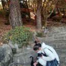 금강공원 이미지