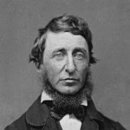 소로 3-5 이미지