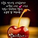 🍒 7월 5일 금요일 간추린 아침뉴스입니다 이미지