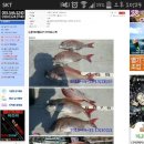 통영펜션하늘채 이미지