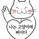나는 고양이에 빠지다 이미지