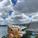 주식회사 운마켓 | 괌 PIC 3박5일 서진쌤 대란 공구 성공후 다녀온 후기✈️🌴