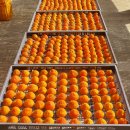 지리산대포마을 이미지