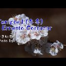 살구나무꽃 & Tempted (유혹) / Ernesto Cortazar & photo by 모모수계 이미지