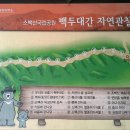 계곡이야기 이미지