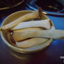 당골목장 이미지