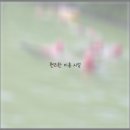 동강의품속 이미지