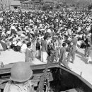 백두산 범 이미지