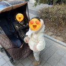유식자동차 | 25년 2월 4주차 어떻게 지냈지?(1)