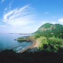 아린 하우스 이미지