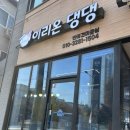 이리온 댕댕 | [검단애견미용] 이리온댕댕에서 푸들테디베어컷 대만족 후기